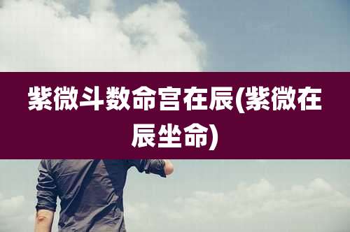 紫微斗数命宫在辰(紫微在辰坐命)