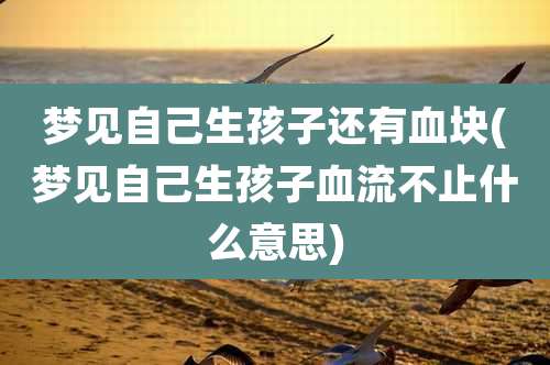 梦见自己生孩子还有血块(梦见自己生孩子血流不止什么意思)