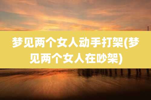 梦见两个女人动手打架(梦见两个女人在吵架)