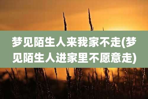 梦见陌生人来我家不走(梦见陌生人进家里不愿意走)