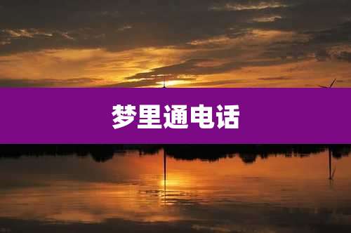 梦里通电话