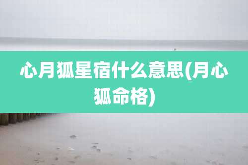 心月狐星宿什么意思(月心狐命格)