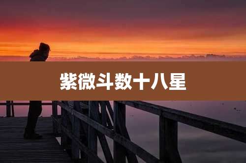 紫微斗数十八星