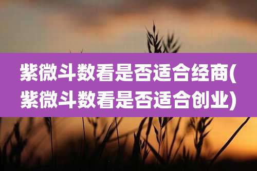 紫微斗数看是否适合经商(紫微斗数看是否适合创业)