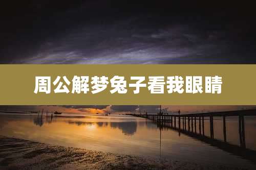 周公解梦兔子看我眼睛