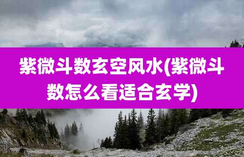 紫微斗数玄空风水(紫微斗数怎么看适合玄学)