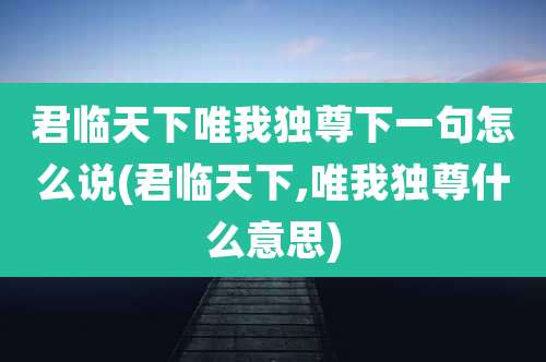 君临天下唯我独尊下一句怎么说(君临天下,唯我独尊什么意思)