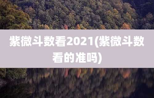紫微斗数看2021(紫微斗数看的准吗)