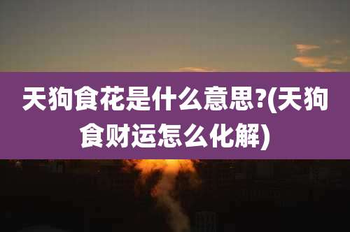 天狗食花是什么意思?(天狗食财运怎么化解)