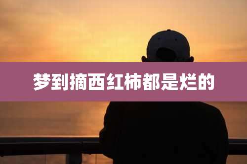 梦到摘西红柿都是烂的