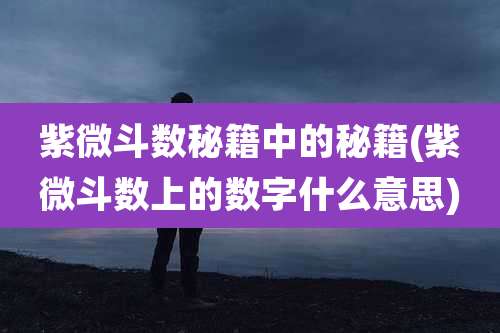 紫微斗数秘籍中的秘籍(紫微斗数上的数字什么意思)