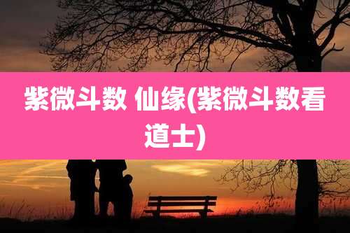 紫微斗数 仙缘(紫微斗数看道士)