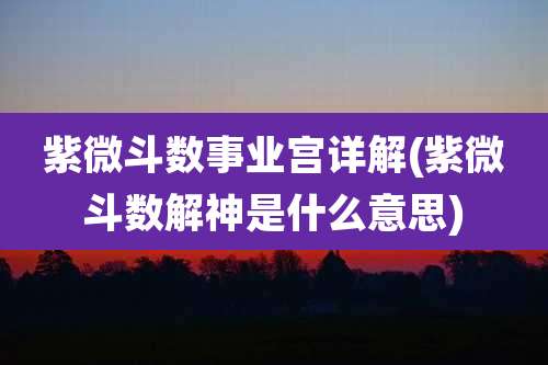 紫微斗数事业宫详解(紫微斗数解神是什么意思)