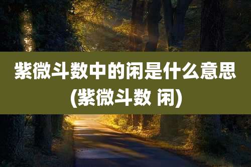 紫微斗数中的闲是什么意思(紫微斗数 闲)