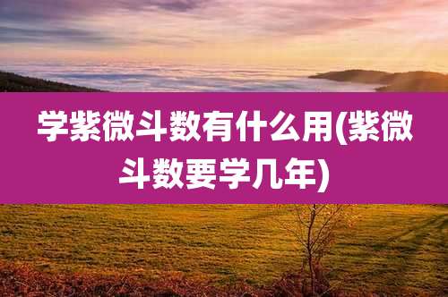 学紫微斗数有什么用(紫微斗数要学几年)