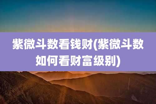 紫微斗数看钱财(紫微斗数如何看财富级别)
