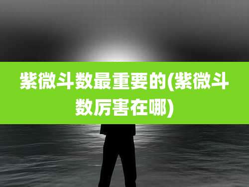 紫微斗数最重要的(紫微斗数厉害在哪)