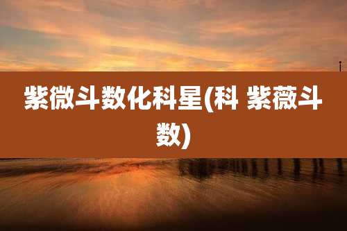 紫微斗数化科星(科 紫薇斗数)