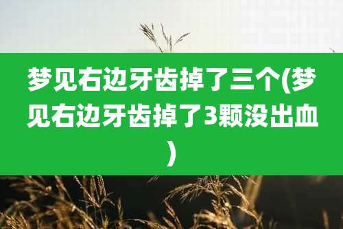 梦见右边牙齿掉了三个(梦见右边牙齿掉了3颗没出血)