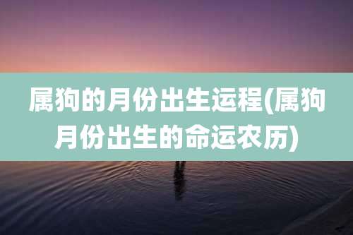 属狗的月份出生运程(属狗月份出生的命运农历)