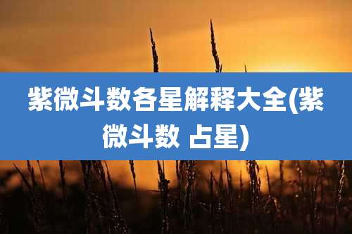 紫微斗数各星解释大全(紫微斗数 占星)