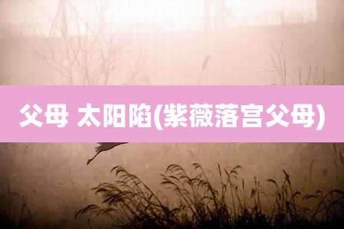 父母 太阳陷(紫薇落宫父母)