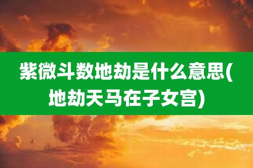 紫微斗数地劫是什么意思(地劫天马在子女宫)