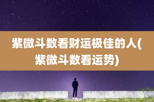 紫微斗数看财运极佳的人(紫微斗数看运势)