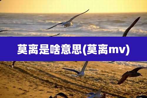 莫离是啥意思(莫离mv)