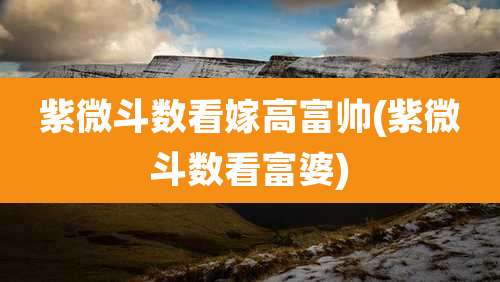 紫微斗数看嫁高富帅(紫微斗数看富婆)