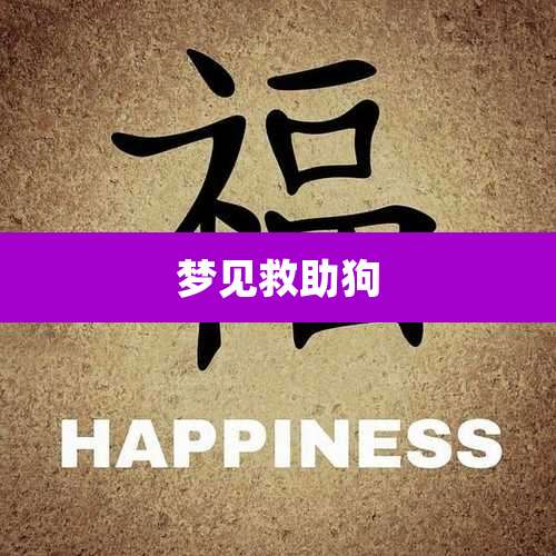 梦见救助狗