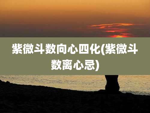 紫微斗数向心四化(紫微斗数离心忌)