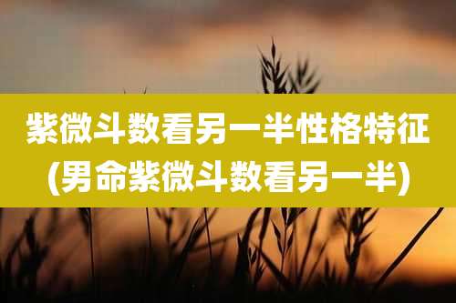 紫微斗数看另一半性格特征(男命紫微斗数看另一半)