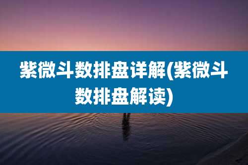 紫微斗数排盘详解(紫微斗数排盘解读)