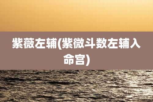 紫薇左辅(紫微斗数左辅入命宫)