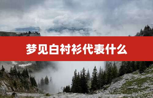 梦见白衬衫代表什么