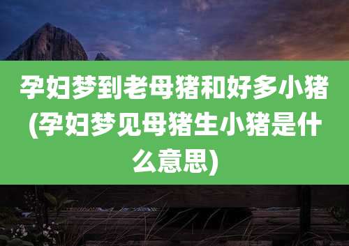 孕妇梦到老母猪和好多小猪(孕妇梦见母猪生小猪是什么意思)
