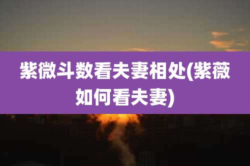 紫微斗数看夫妻相处(紫薇如何看夫妻)