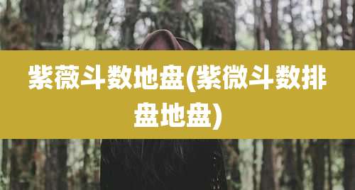 紫薇斗数地盘(紫微斗数排盘地盘)