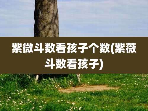 紫微斗数看孩子个数(紫薇斗数看孩子)