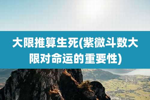 大限推算生死(紫微斗数大限对命运的重要性)