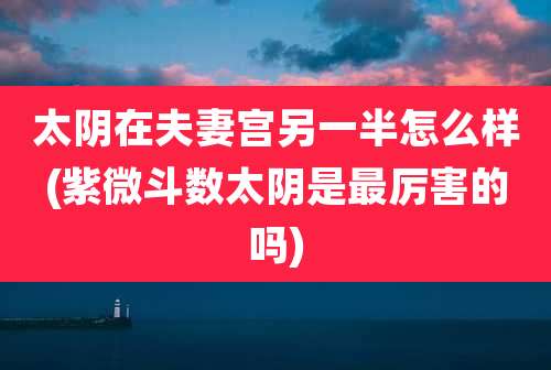 太阴在夫妻宫另一半怎么样(紫微斗数太阴是最厉害的吗)