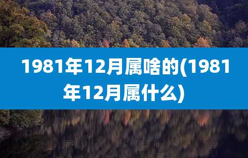 1981年12月属啥的(1981年12月属什么)