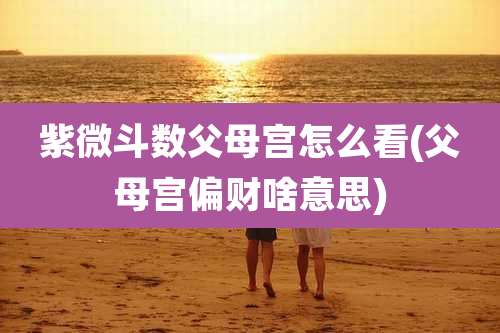 紫微斗数父母宫怎么看(父母宫偏财啥意思)