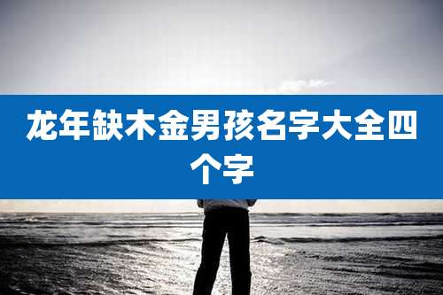 龙年缺木金男孩名字大全四个字