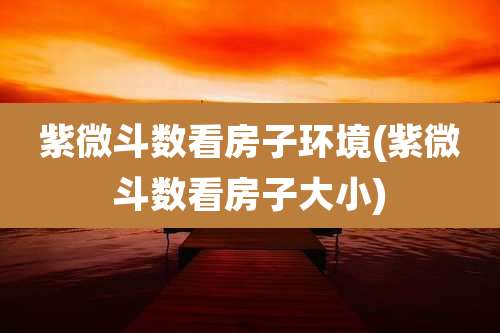 紫微斗数看房子环境(紫微斗数看房子大小)