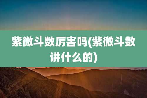 紫微斗数厉害吗(紫微斗数讲什么的)