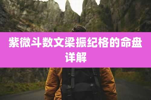 紫微斗数文梁振纪格的命盘详解
