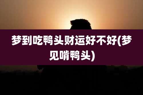 梦到吃鸭头财运好不好(梦见啃鸭头)