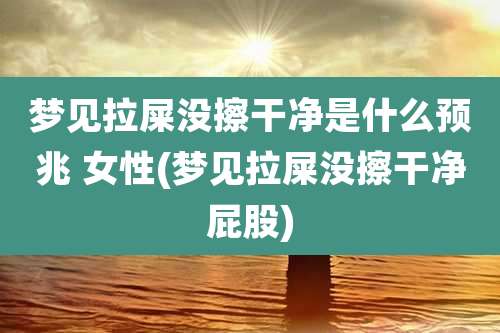 梦见拉屎没擦干净是什么预兆 女性(梦见拉屎没擦干净屁股)